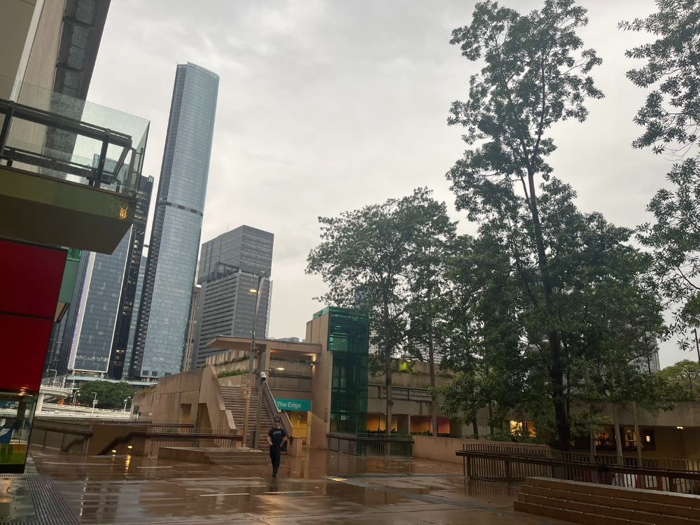 雨上がりの図書館前